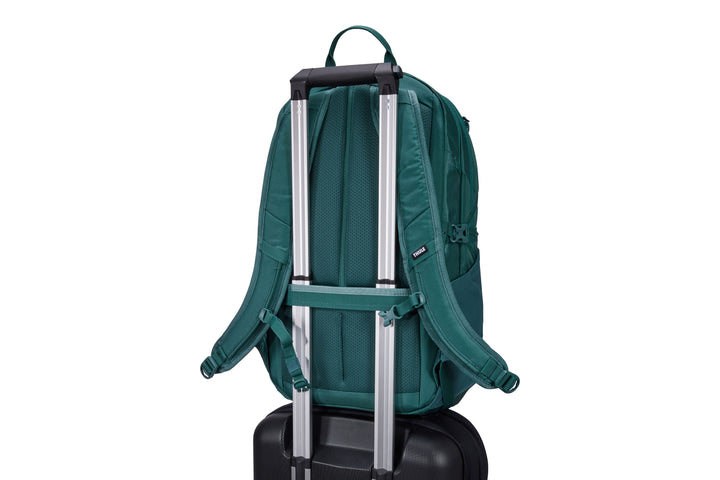 26 L / Mallard Green