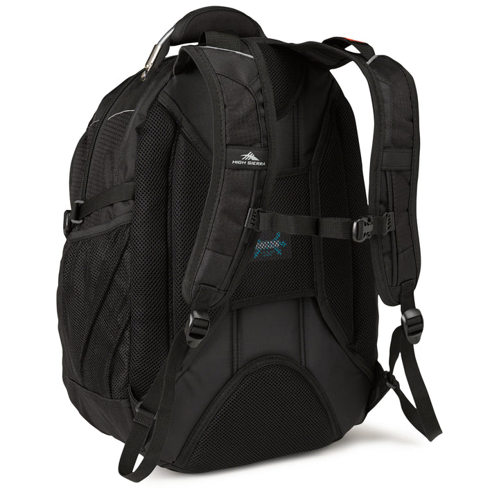 Daypack / Black