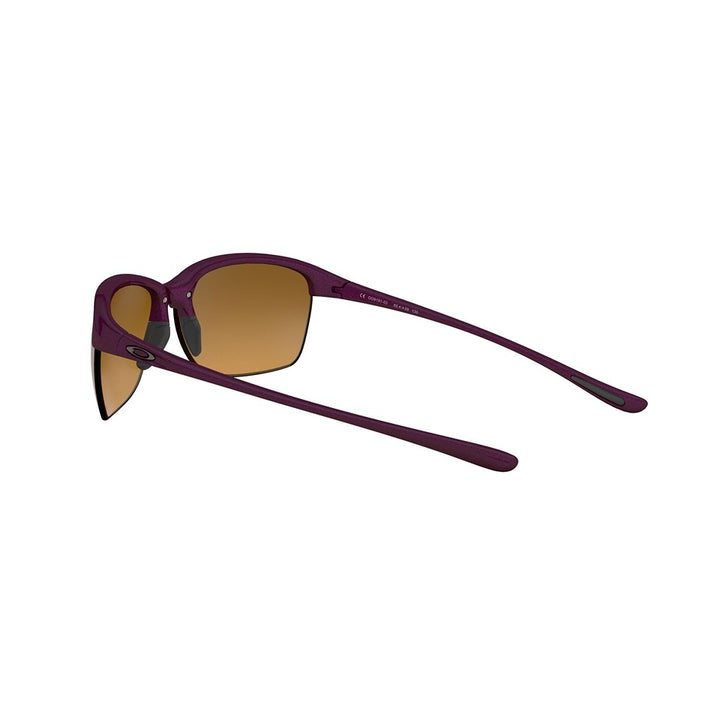 M (65mm)/Raspberry Spritzer / Brown Gradient Polarized