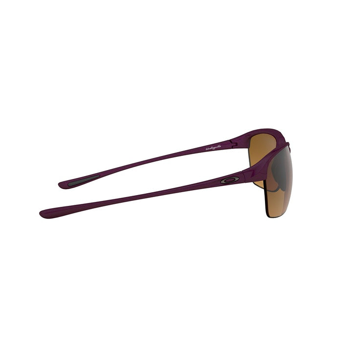 M (65mm)/Raspberry Spritzer / Brown Gradient Polarized