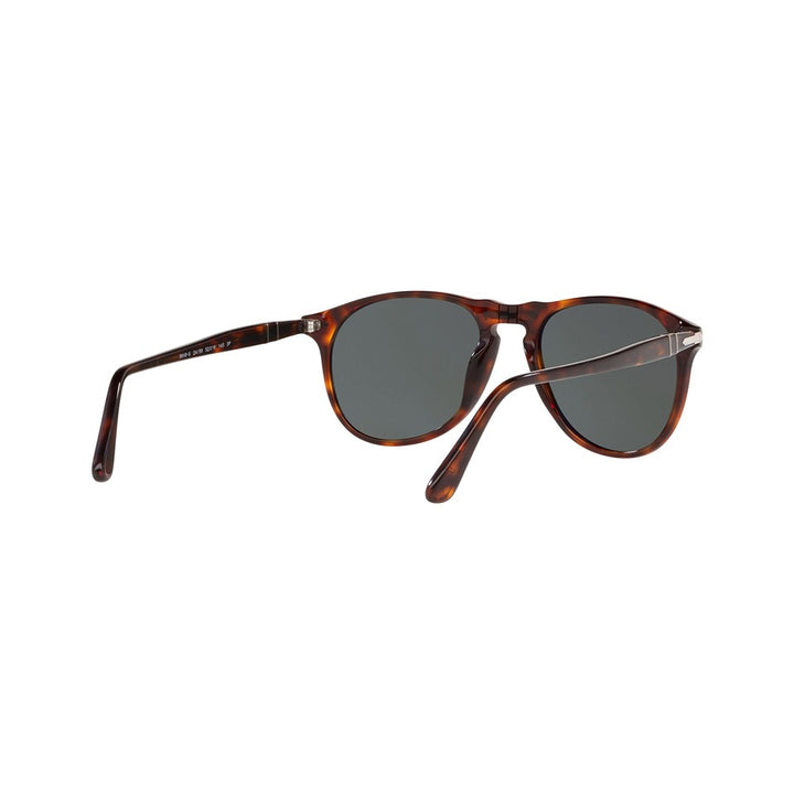 L (55mm)/Havana / Green Polarized