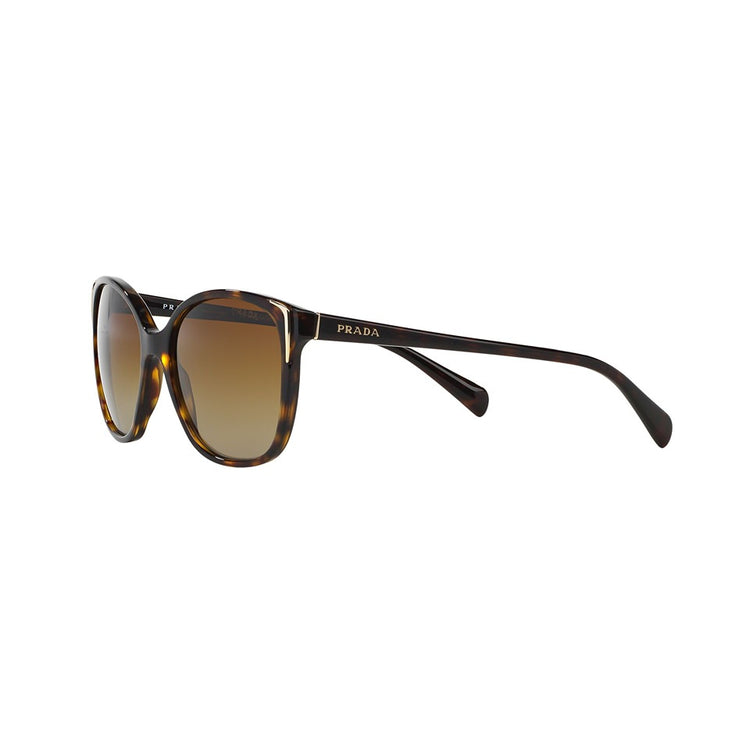 S (55mm)/Havana / Polarized Brown Gradient