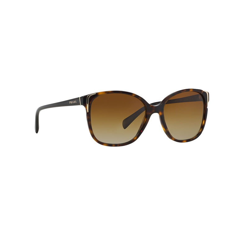 S (55mm)/Havana / Polarized Brown Gradient