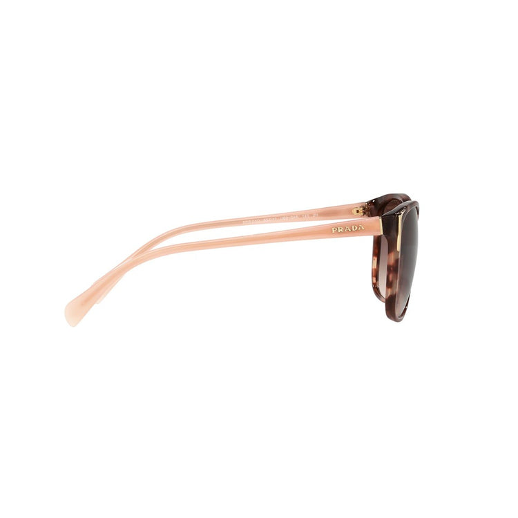 S (55mm)/Spotted Brown Pink / Brown Gradient