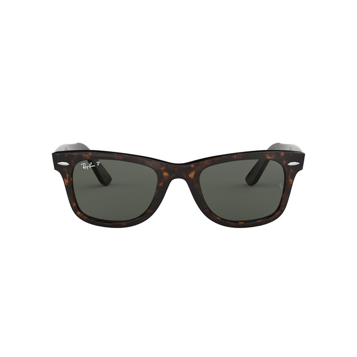 L (50mm)/Tortoise / Polarized Green