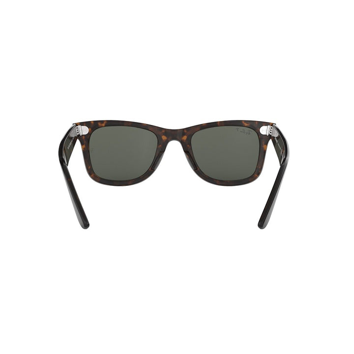 L (50mm)/Tortoise / Polarized Green