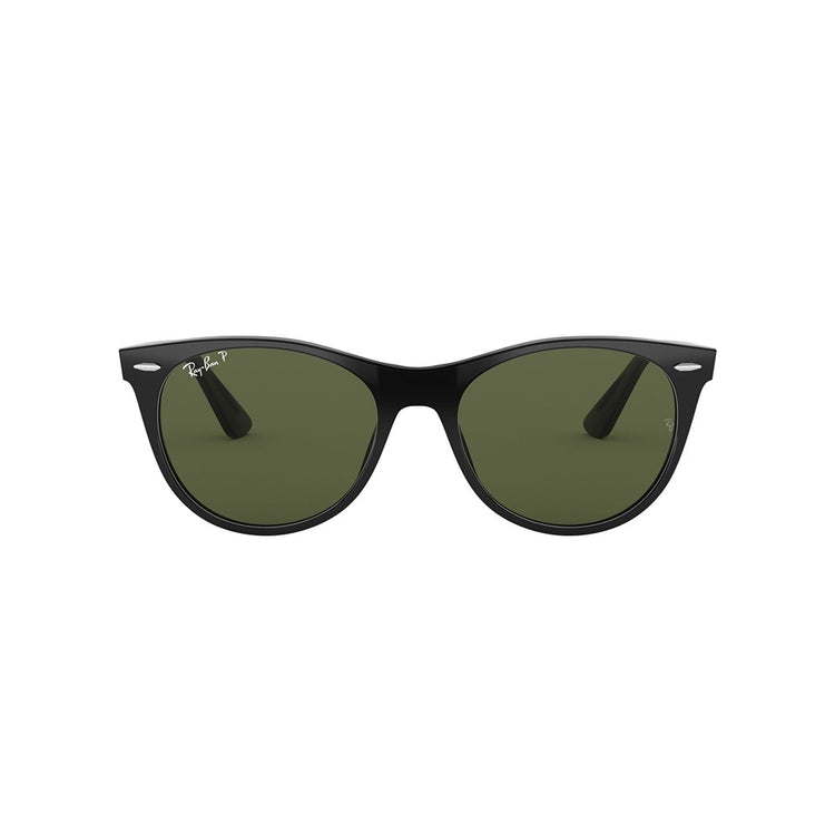 L (55mm)/Black / Polarized Green Classic G-15