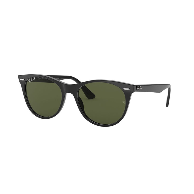 L (55mm)/Black / Polarized Green Classic G-15