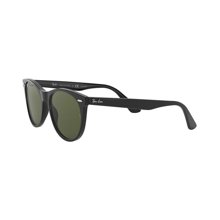 L (55mm)/Black / Polarized Green Classic G-15