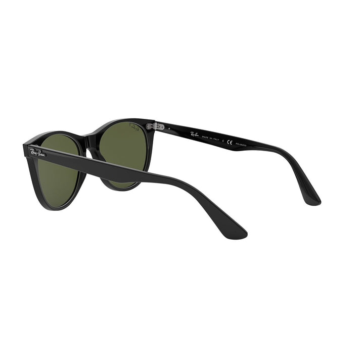 L (55mm)/Black / Polarized Green Classic G-15