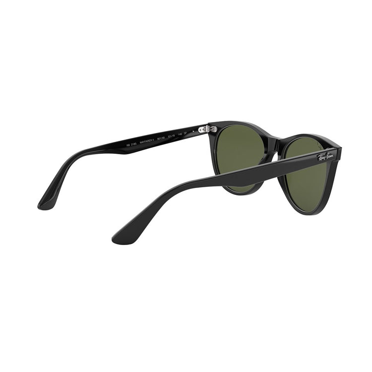 L (55mm)/Black / Polarized Green Classic G-15