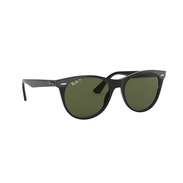 L (55mm)/Black / Polarized Green Classic G-15