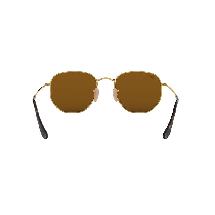 M (51mm)/Gold / Polarized Brown Classic B-15