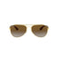 M (58mm)/Gold / Polarized Brown Gradient