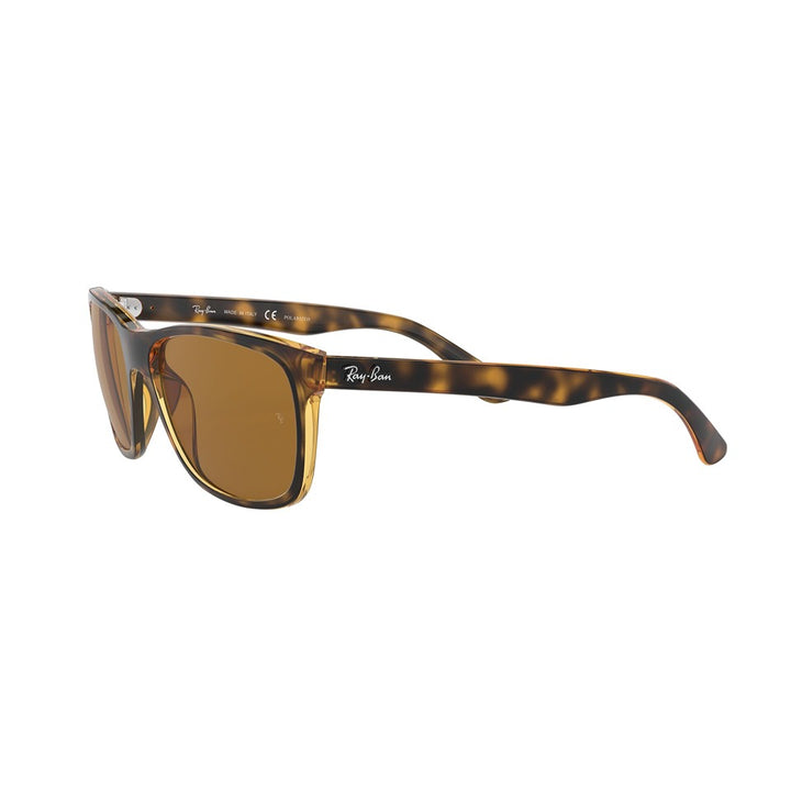 M (57mm)/Light Havana / Polarized Brown