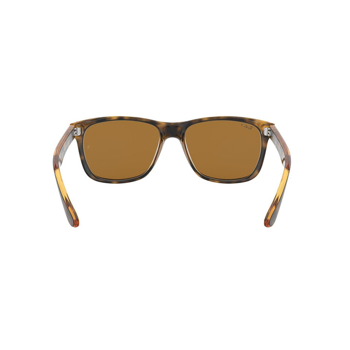 M (57mm)/Light Havana / Polarized Brown