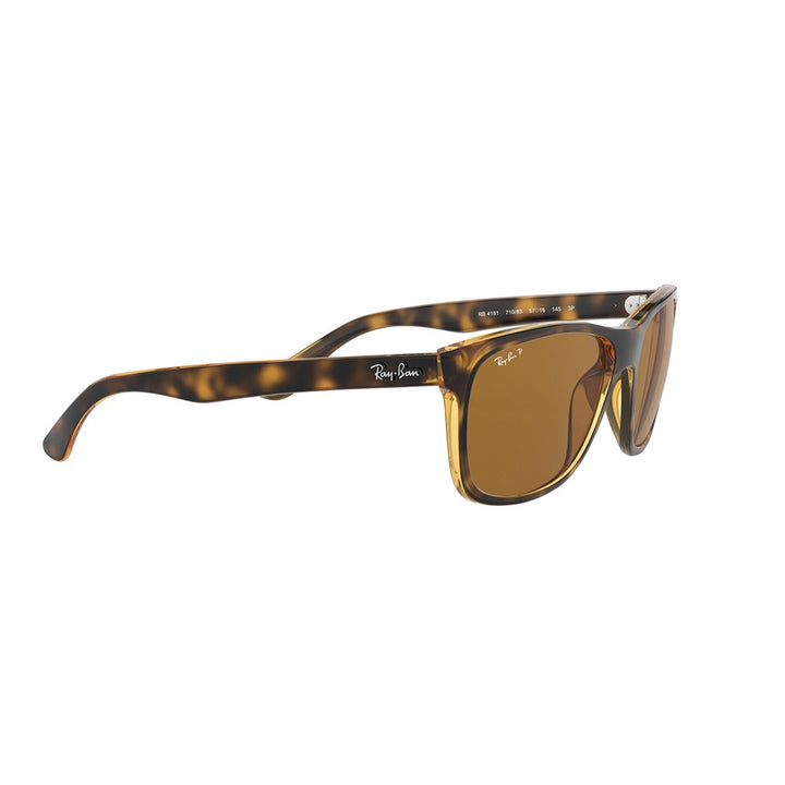 M (57mm)/Light Havana / Polarized Brown