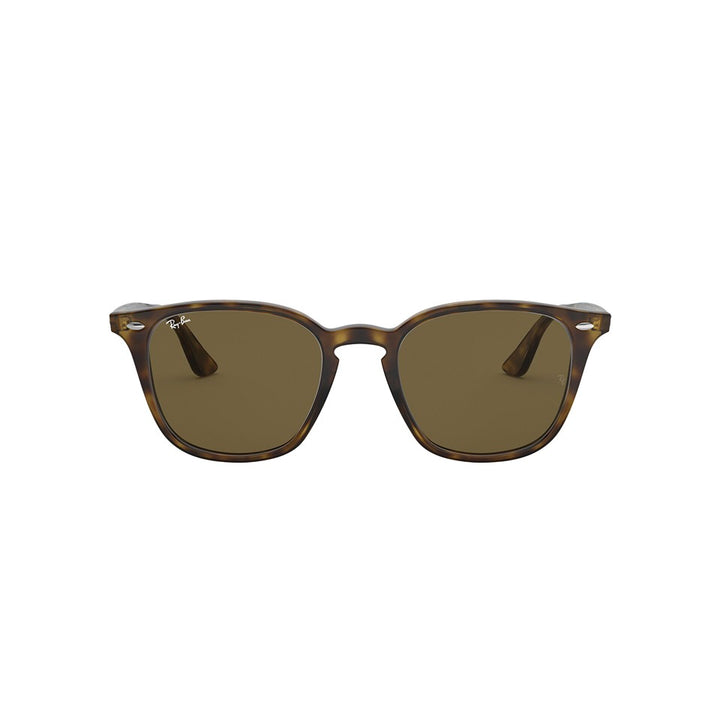 M (50mm)/Light Havana / Dark Brown