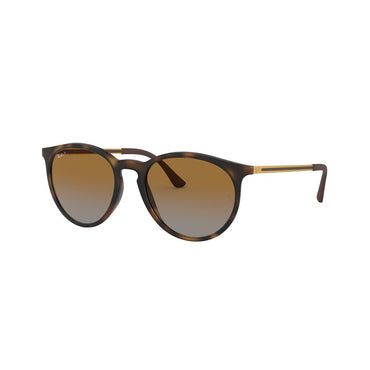 M (53mm)/Havana / Polarized Brown Gradient