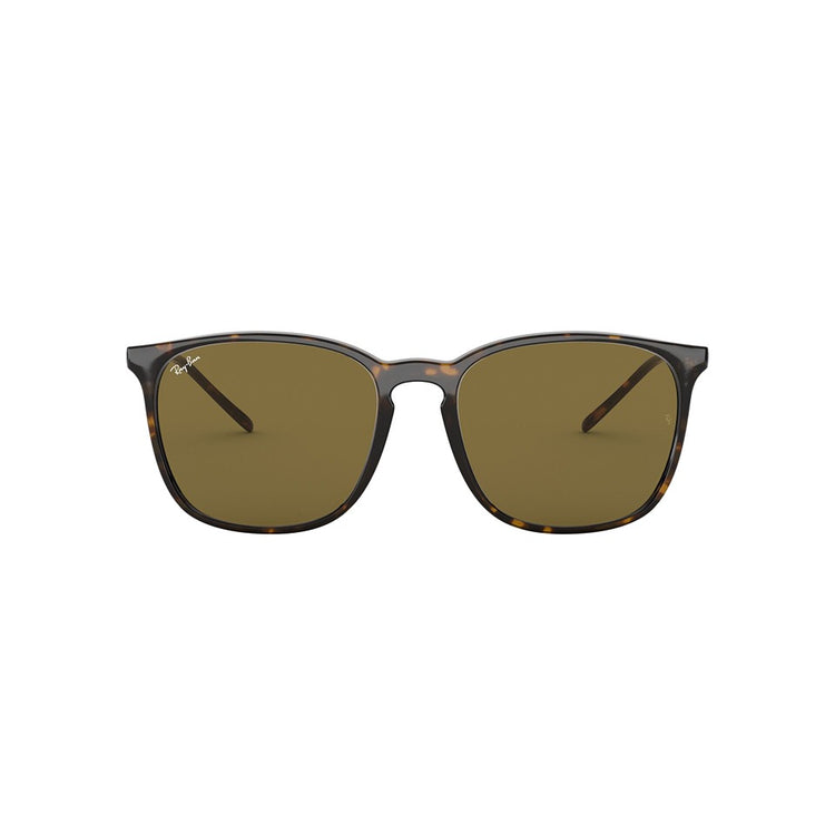 M (55mm)/Tortoise / Brown Classic