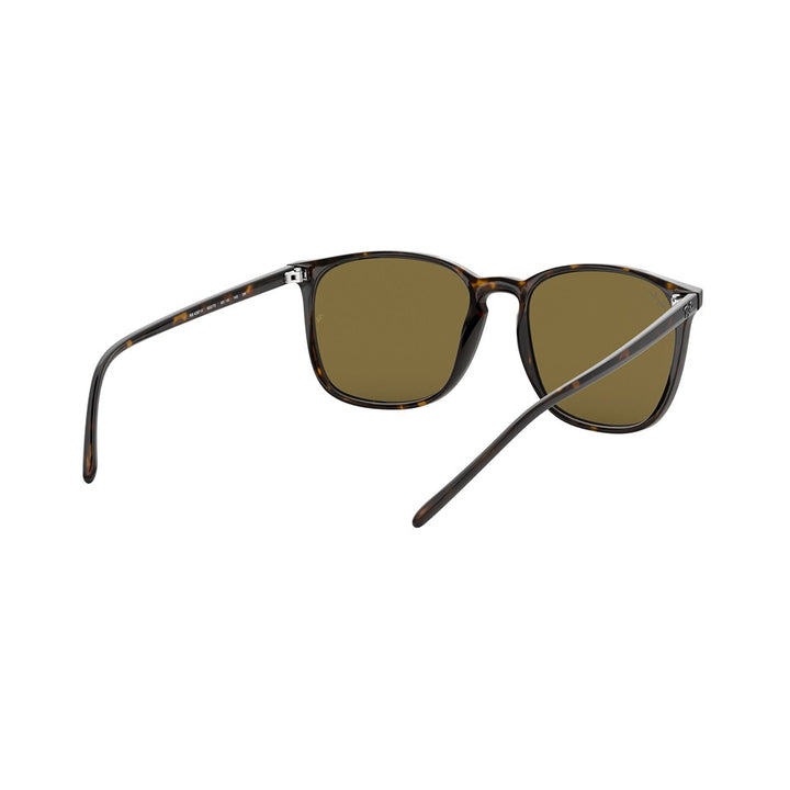 M (55mm)/Tortoise / Brown Classic