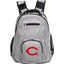 Large Backpack / Gray